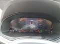 SEAT Arona Road Edition 1.0 TSI 116 PS 7-Gang-DSG Gris - thumbnail 11