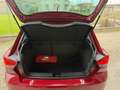 SEAT Ibiza 1.6 tdi FR 95cv - thumbnail 14