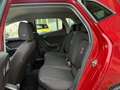 SEAT Ibiza 1.6 tdi FR 95cv - thumbnail 12