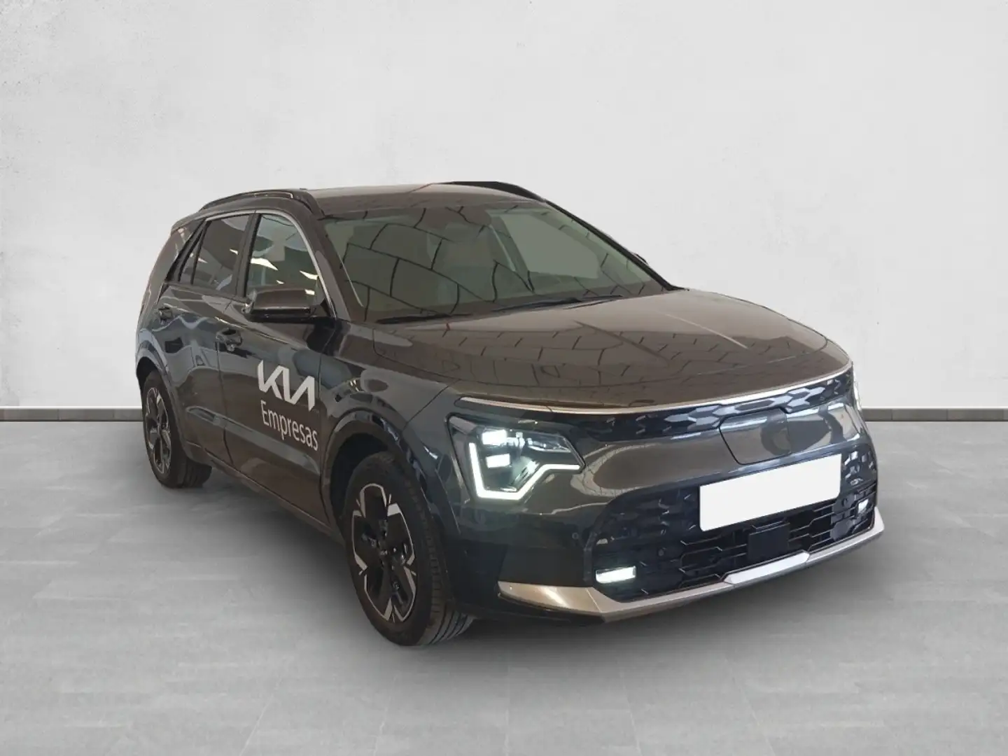 Kia Niro E-Niro Winter Edition Gris - 2