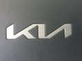 Kia Niro E-Niro Winter Edition Gris - thumbnail 25