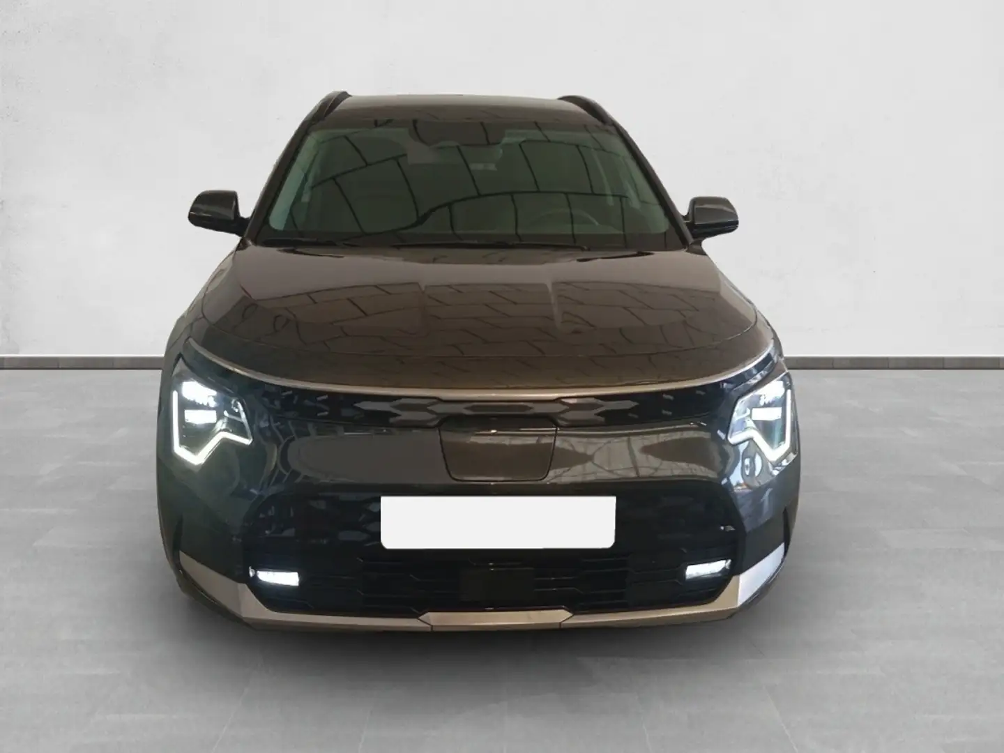Kia Niro E-Niro Winter Edition Gris - 1