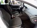Ford Focus Ambiente 1.6 Ti-VCT wenig Kilometer scheckheft bijela - thumbnail 12