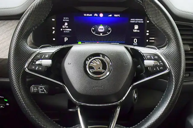 Skoda Kodiaq view 22