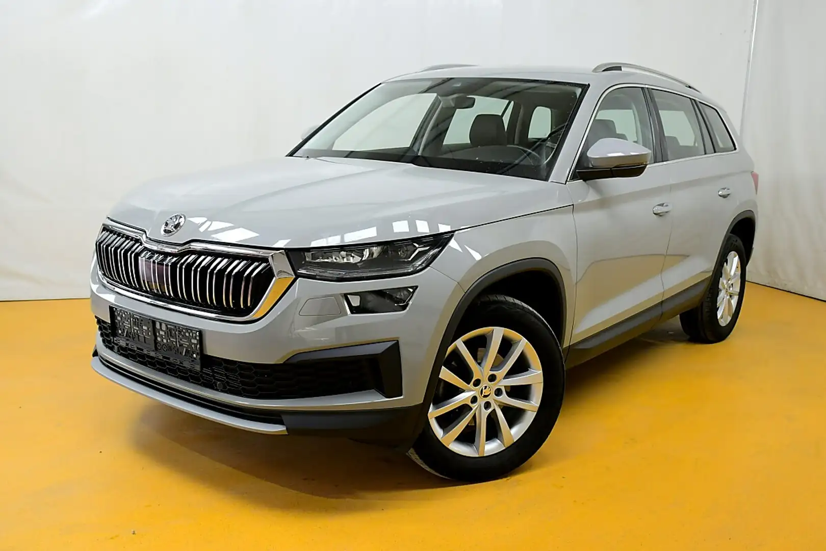 Skoda Kodiaq 2,0 TDI SCR 4x4 Style DSG_AHK Grau - 1