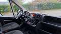 Citroen Jumper FOURGON TOLE 35 L2H2 BLUEHDI 140 SS BVM6 CONTROL Blanc - thumbnail 8