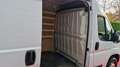 Citroen Jumper FOURGON TOLE 35 L2H2 BLUEHDI 140 SS BVM6 CONTROL Blanc - thumbnail 11