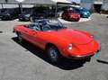 Alfa Romeo Spider 1.3 Junior DUETTO ASI ISCRITTA ASI Orange - thumbnail 30