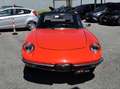 Alfa Romeo Spider 1.3 Junior DUETTO ASI ISCRITTA ASI Orange - thumbnail 23