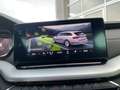 Skoda Octavia Combi First Edition 2.0 TDI Sportpaket StandHZG Na Negro - thumbnail 24