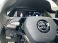 Skoda Octavia Combi First Edition 2.0 TDI Sportpaket StandHZG Na Negro - thumbnail 21