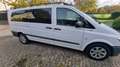 Mercedes-Benz Vito Vito 116 CDI Lang - 9 Sitzer - TÜV+Batterie Neu Weiß - thumbnail 3