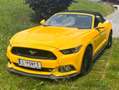 Ford Mustang Mustang 5,0 Ti-VCT V8 GT Cabrio Aut. GT Gelb - thumbnail 2