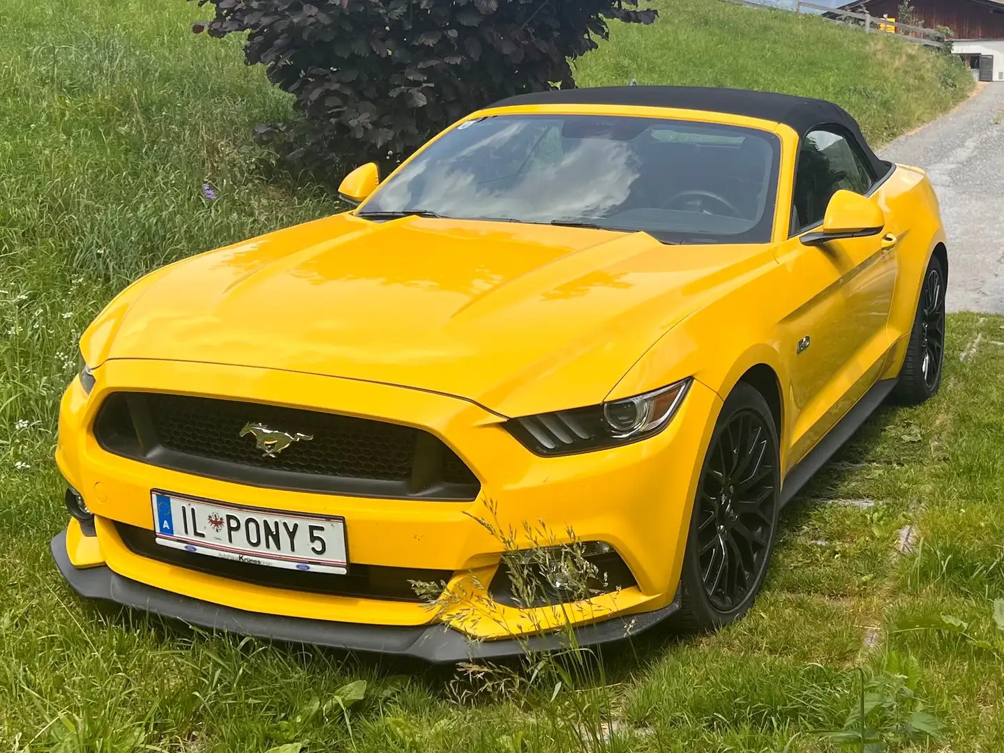 Ford Mustang Mustang 5,0 Ti-VCT V8 GT Cabrio Aut. GT Gelb - 2