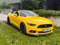 Ford Mustang Mustang 5,0 Ti-VCT V8 GT Cabrio Aut. GT Gelb - thumbnail 1