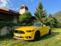 Ford Mustang Mustang 5,0 Ti-VCT V8 GT Cabrio Aut. GT Gelb - thumbnail 3