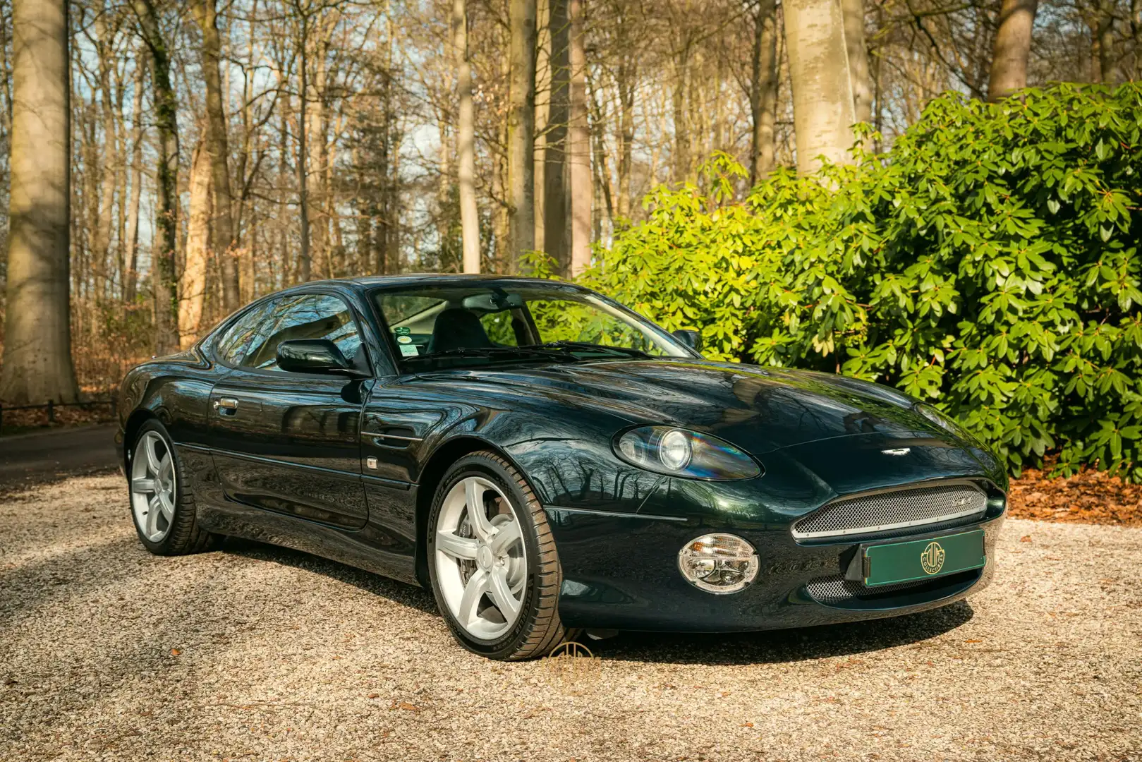 Aston Martin DB7 5.9 V12 GTA Зелений - 2