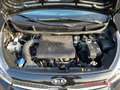 Kia Picanto Spirit 1.2 Automatik Komfort-Paket Allwetter Schwarz - thumbnail 14