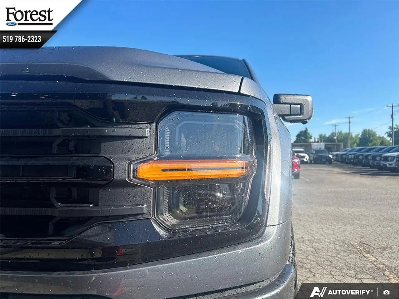 Ford F 150 снимка Ford F 150