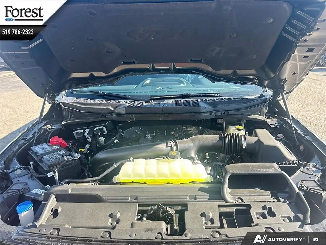 Ford F 150 снимка Ford F 150