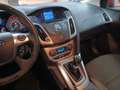 Ford Focus 1.6TDCi Urban Rojo - thumbnail 24