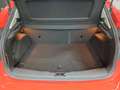 Ford Focus 1.6TDCi Urban Rojo - thumbnail 11
