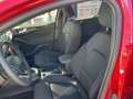 Ford Focus ST-Line X *LED-Matrix *B&O Sound *Styling Rot - thumbnail 16