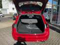 Ford Focus ST-Line X *LED-Matrix *B&O Sound *Styling Rot - thumbnail 7