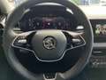 Skoda Fabia 1.0 TSI-DSG-115PS Top-Selection Gris - thumbnail 12