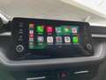 Skoda Fabia 1.0 TSI-DSG-115PS Top-Selection Gris - thumbnail 15