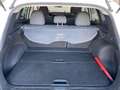 Renault Kadjar 1.2 tce energy Intens 130cv Bianco - thumbnail 9