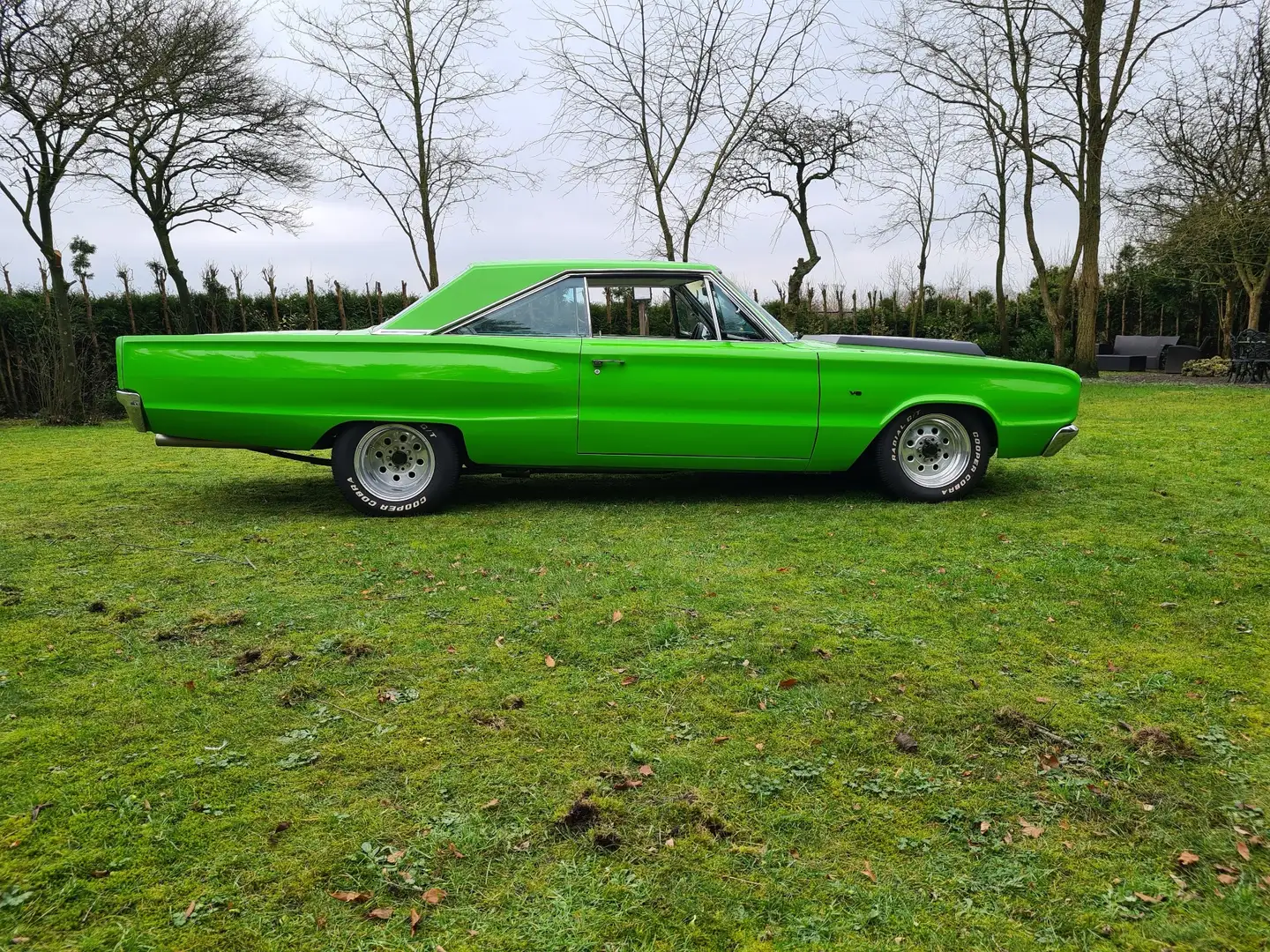 Dodge Coronet - 1