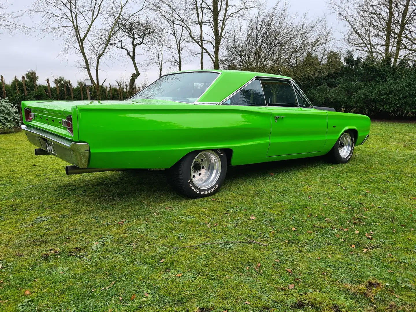 Dodge Coronet - 2