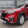 Suzuki S-Cross 1,4 Hybrid ALLGRIP Automatik Shine Rot - thumbnail 11