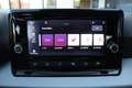 SEAT Arona Seat Arona Style 1.0 TSI 81kW/110PS, DSG Weiß - thumbnail 13