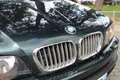 BMW X5 4.4i V8 Executive Youngtimer (MET WERK) FULL OPTIO Grün - thumbnail 5