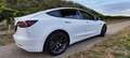 Tesla Model 3 Model 3 Long Range AWD 75kWh Weiß - thumbnail 4