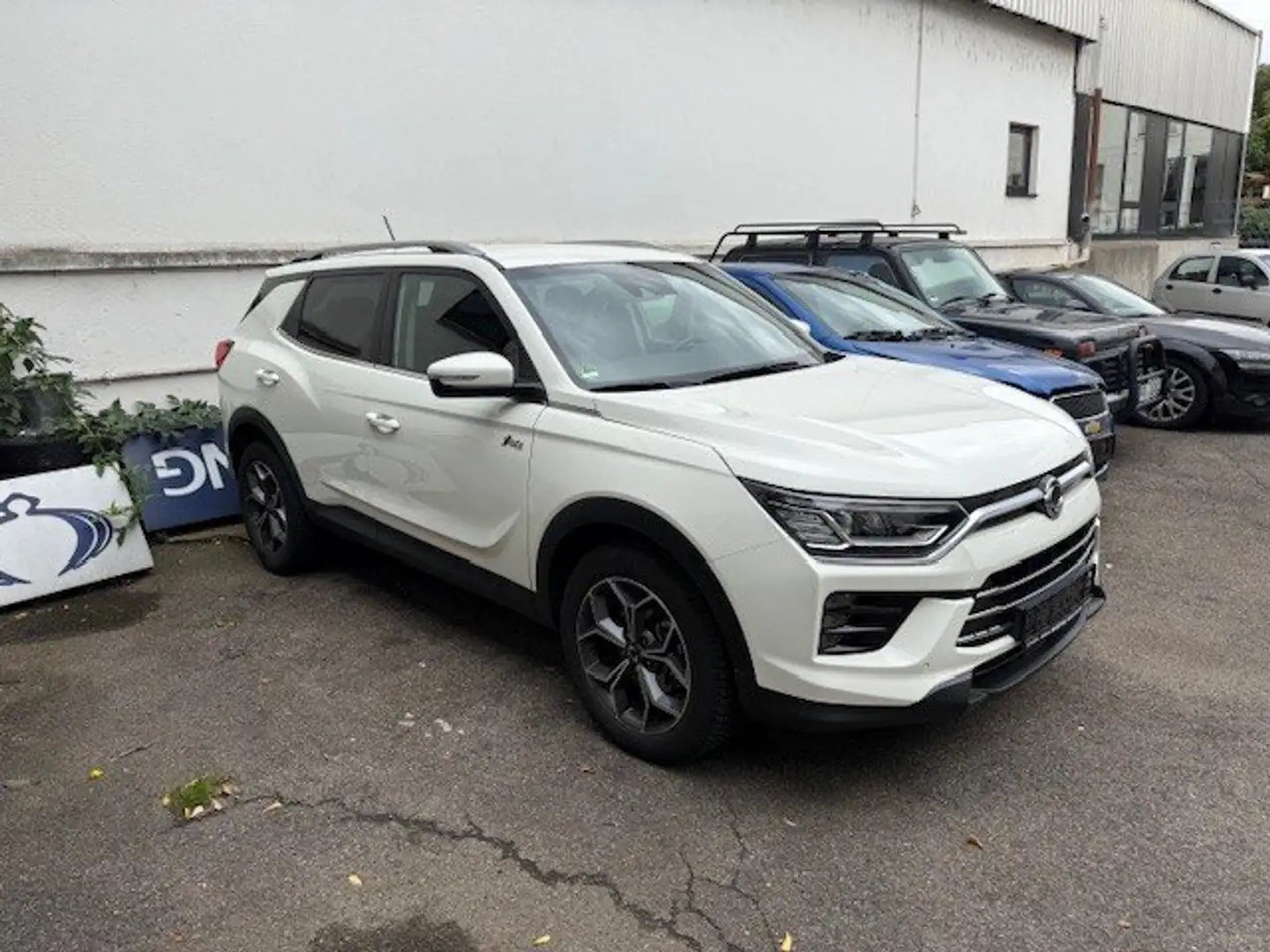 SsangYong Korando Ruby Blanc - 1