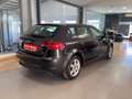 Audi A3 1.6 TDI 105cv Attraction Schwarz - thumbnail 5