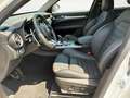 Alfa Romeo Stelvio 2.2 16V AT8 Veloce *Allrad *ACC Grün - thumbnail 7
