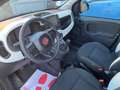 Fiat Panda Pandina Cross 1.0 hybrid 70 CV PREZZO REALE Verde - thumbnail 10