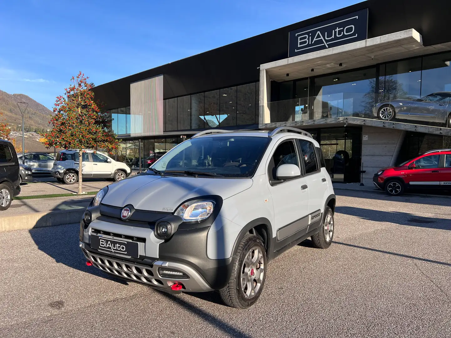 Fiat Panda CROSS 0.9 TWINAIR 85CV 4X4 Grigio - 1