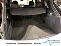 Porsche Cayenne PDLS*LUFT*CARPLAY*AHK*AMBIENTE*R-KAMERA Schwarz - thumbnail 21