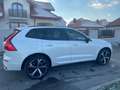 Volvo XC60 T6 AWD Recharge PHEV R Design Geartronic R-Design Weiß - thumbnail 4