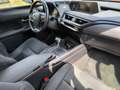 Lexus UX 250h Business Edition - thumbnail 10