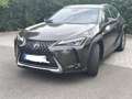 Lexus UX 250h Business Edition - thumbnail 1