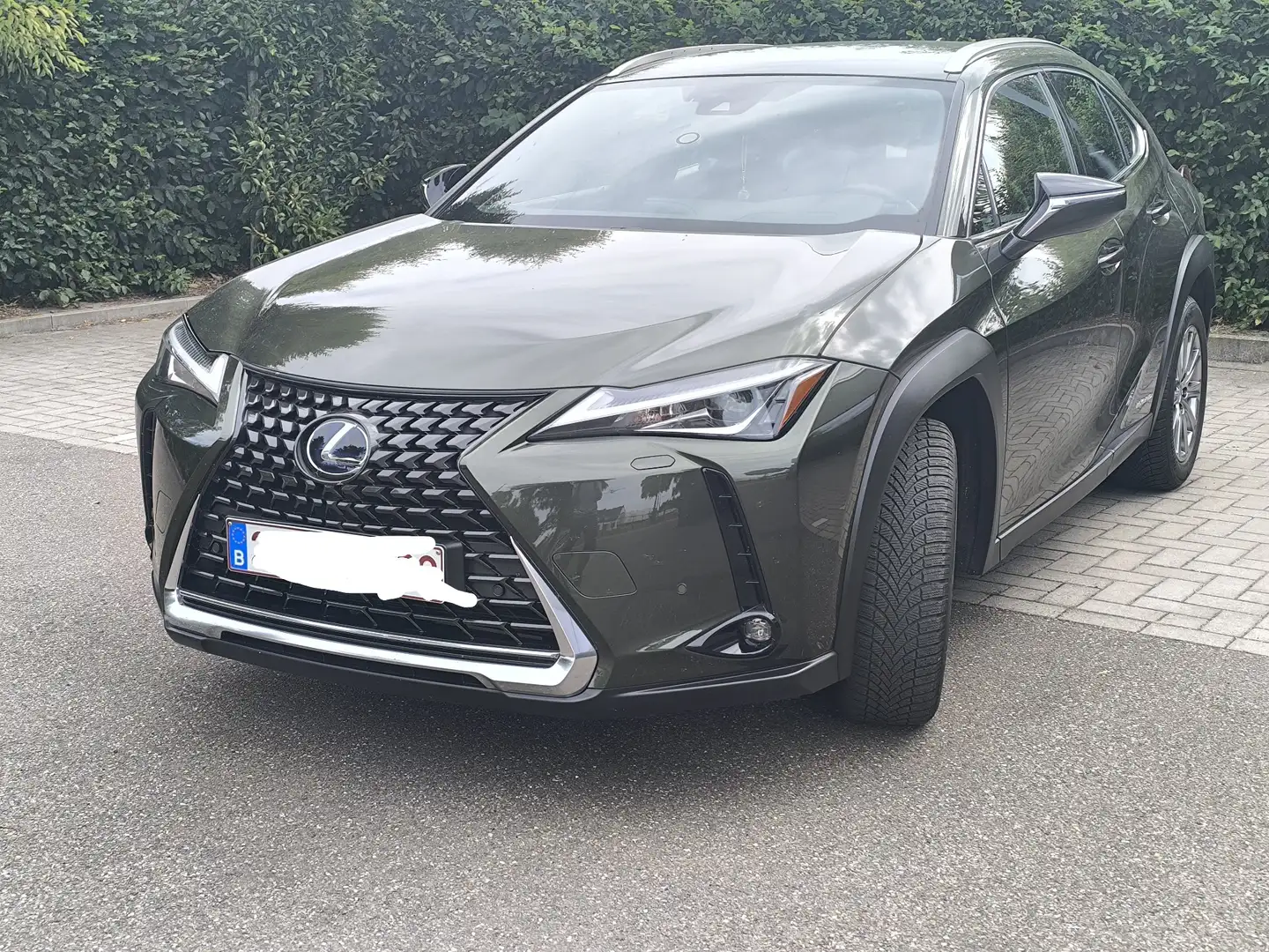 Lexus UX 250h Business Edition - 1