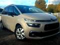 Citroen Grand C4 SpaceTourer Grand C4 SpaceTourer Feel S TVA DÉDUCTIBLE 7PL Beige - thumbnail 3