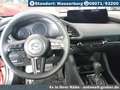 Mazda 3 SKYACTIV-G 150PS M Hybrid Automatik Exclusive DESI - thumbnail 9