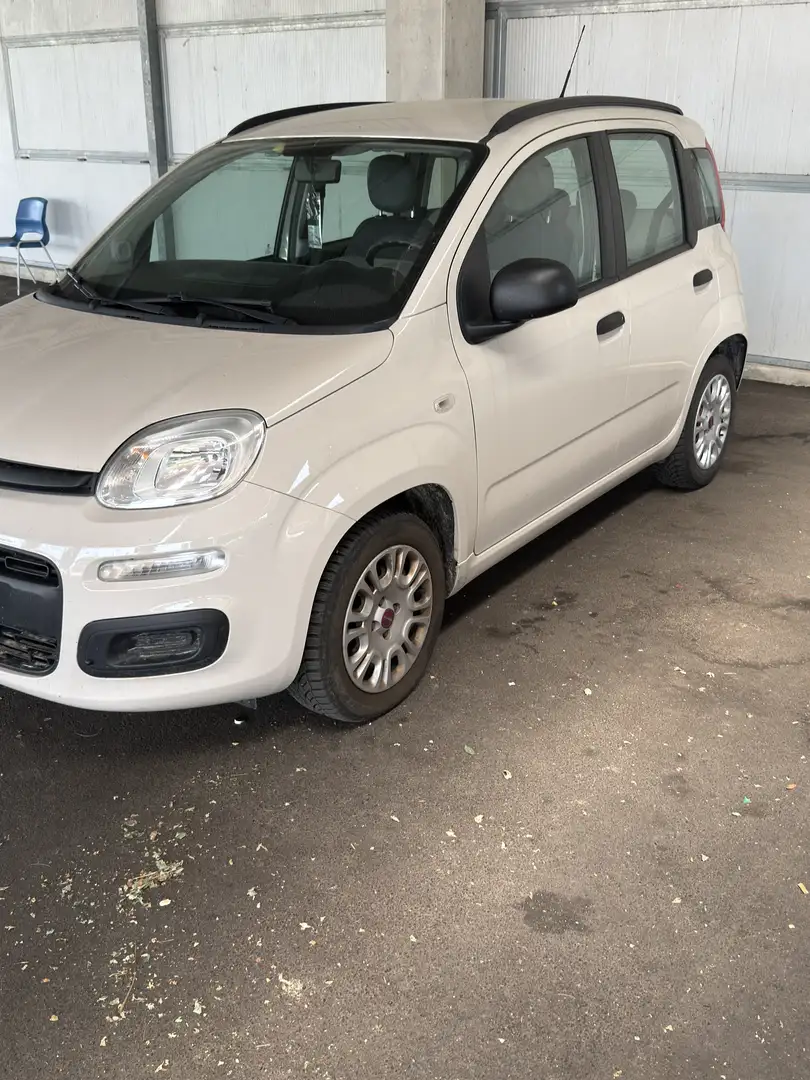 Fiat Panda 1.2 Active 69cv E5 - 1